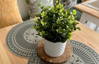 Monti Tiburtini Roma Guest House Apartment - Foto 45