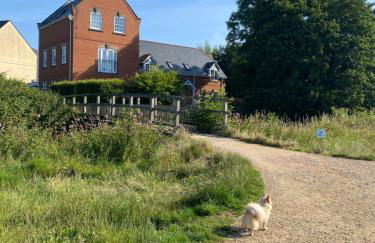 Cosy cottage in Bridport centre - Photo 36