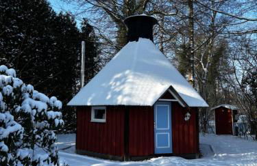 Finnish Kota - Photo 3