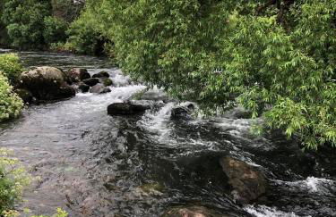 The Grooms Cottage - Photo 20