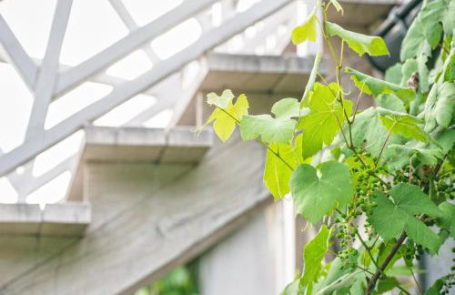 Dom nad Lubie - Foto 17