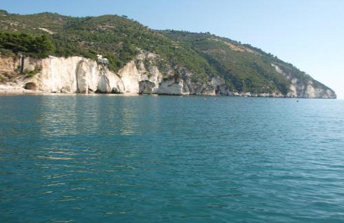 Olive&Sea Villa-SEA - Foto 37
