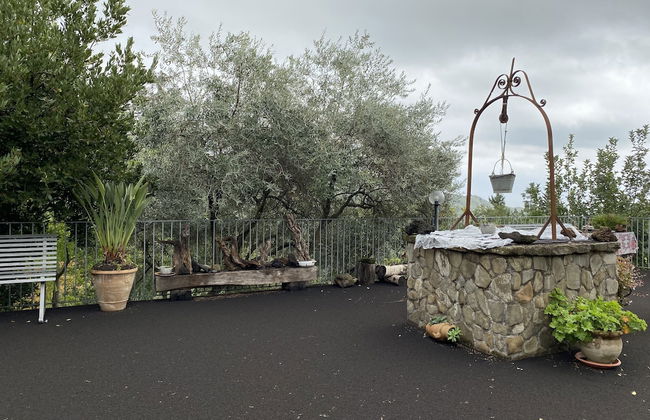 Agriturismo Etna-Mare - Photo 46