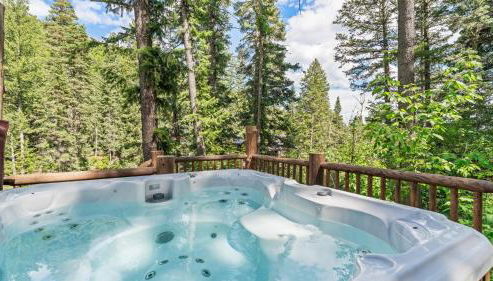 OVER THE RIVER AND THROUGH THE WOODS - Foto 3