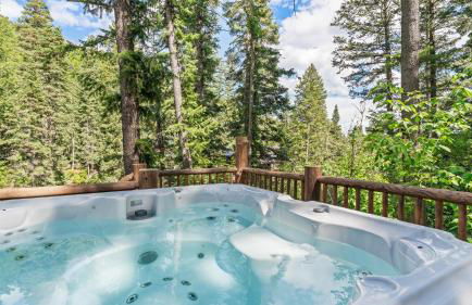 OVER THE RIVER AND THROUGH THE WOODS - Foto 3