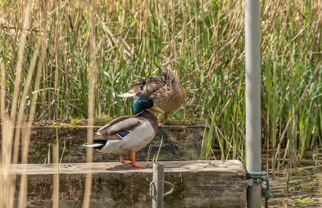 Apartment 2 bedroom with lake view - Foto 41