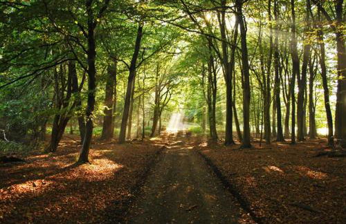 Loxley Barn, 1-bed Cottage Retreat - Photo 53
