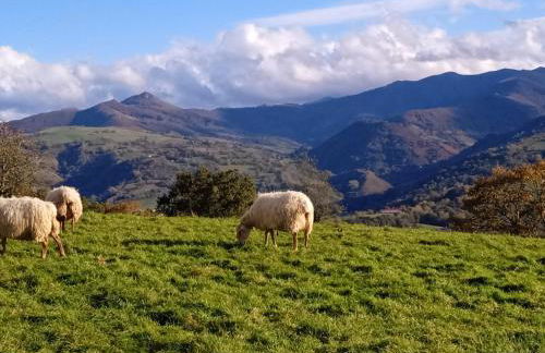 Apartamento Larrazu Agroturismo Baztán - Foto 60