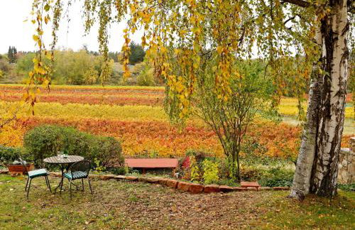 Apartment Am Weinberg by Interhome - Foto 42