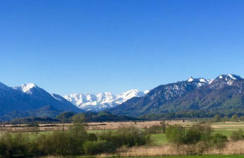 Ferienwohnungen Daserhaus Holiday Apartments - Foto 17