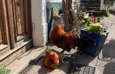 Traumhafte Auszeit direkt am Nürburgring - Foto 19