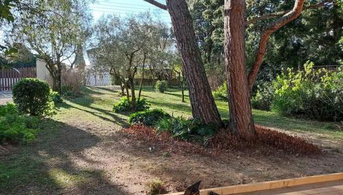 Petite maison dans un écrin de verdure - Photo 2