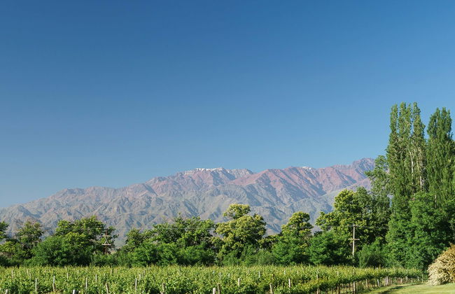 Tour privado pelas adegas do Vale do Uco - Foto 1