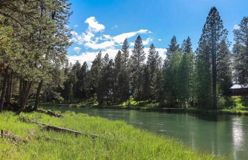 Merganser Memories - Foto 45