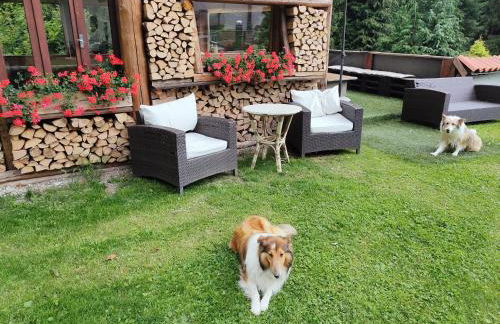 Ai Ciar - Casa Vacanze - Foto 33