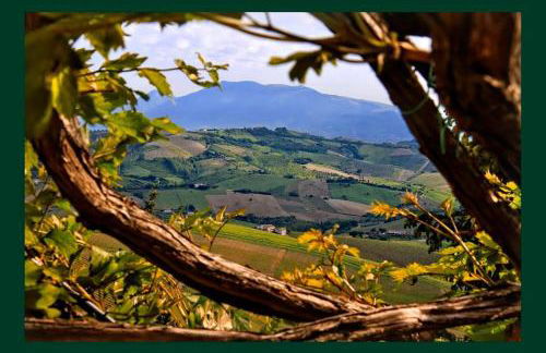 Agriturismo San Michele - Foto 35