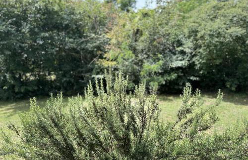 Summer Green Apartment - Foto 6