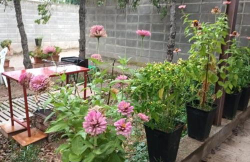 Finca Marina Turismo Rural - Foto 9