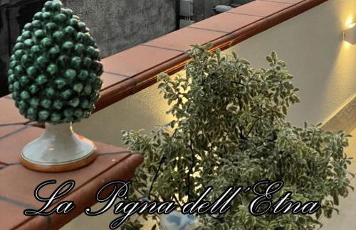 La Pigna dell'Etna - Foto 41