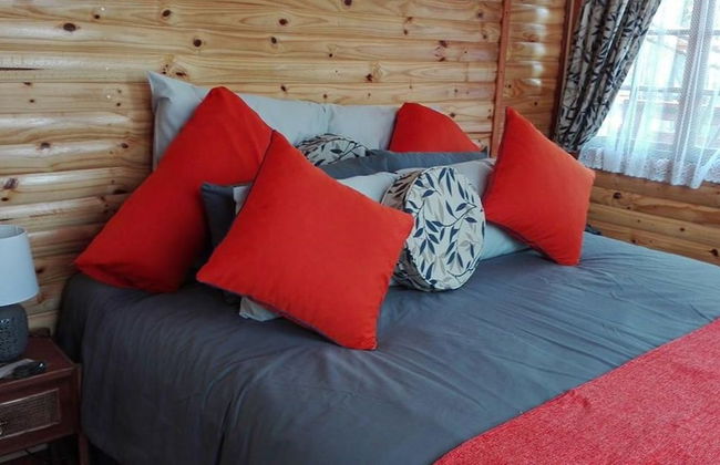 Woodland Gardens - Photo 2