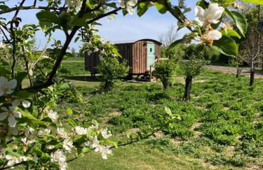 Shepherds Hut 6 - Foto 10