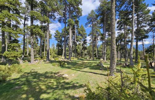 Chalets Collection Greniers D'Alpages - Les Chalets Secrets - Foto 11