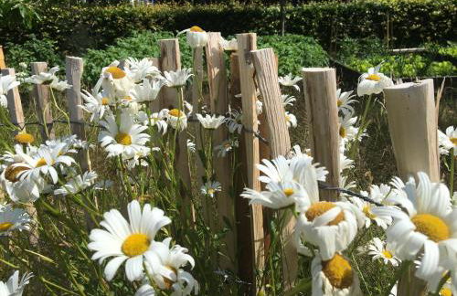 Ferienwohnung-Austernfischer - Foto 22