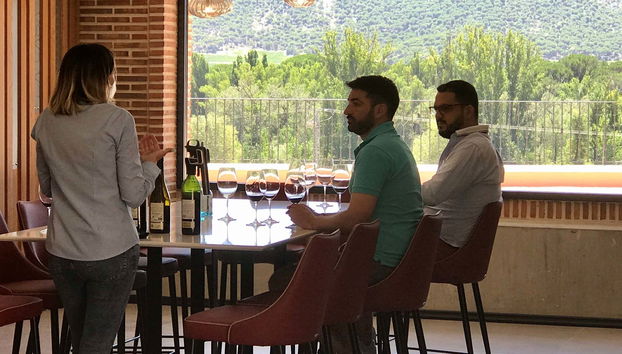 Degustazione di vino, formaggio e olio alla cantina Matarromera