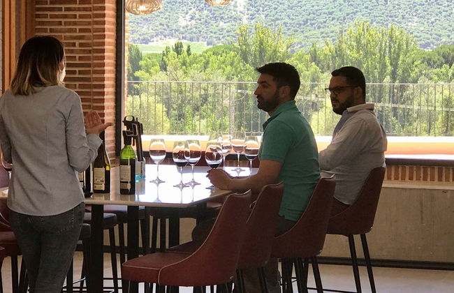 Degustazione di vino, formaggio e olio alla cantina Matarromera - Foto 4