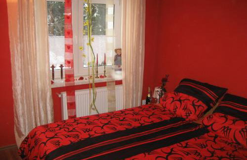 Pokoje Przy Kominie - Foto 33