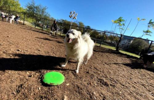 Quiet neighborhood steps away from Downtown stores - Foto 35