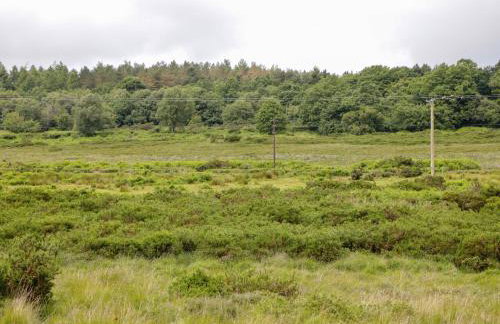 Greenacres - Photo 35