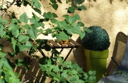 Le Mas du Ruisseau - Foto 33