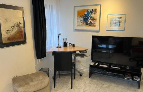 Excl Ferienwohnung im Dreiländereck D-F-CH mit beheiztem kl Pool zum Schwimmen und Massieren - Foto 47