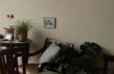 Três quartos Graça - Foto 16