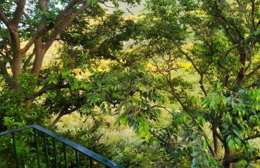 Apartment 'Angelo' in traditional stone house - Foto 20