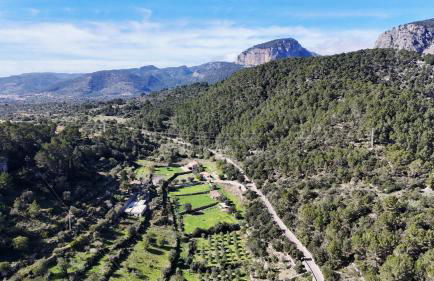 Agroturismo Finca Can Sec - Foto 50