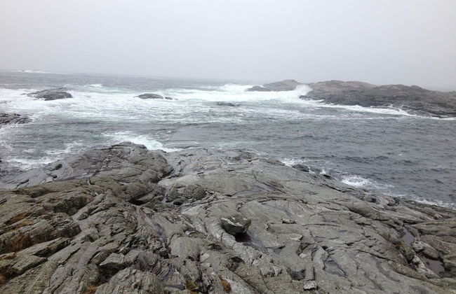 Sotra Rorbusenter - Foto 70