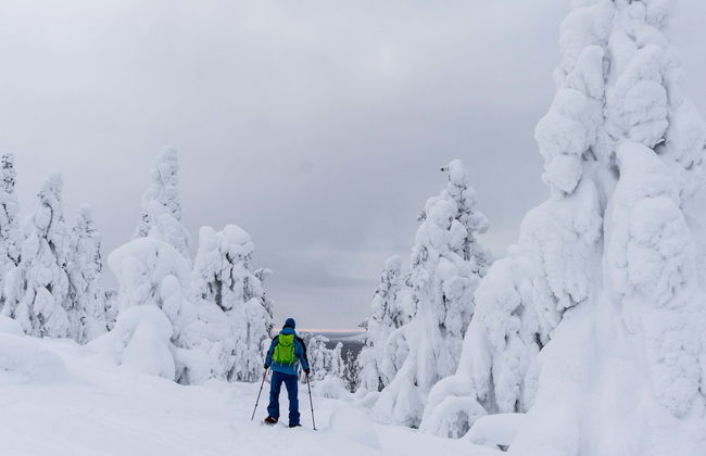 Corso di alpinismo al Parco Nazionale Pyhä-Luosto - Foto 2