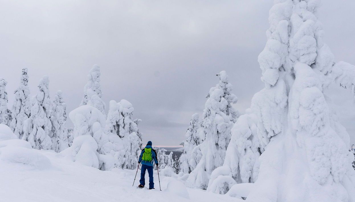 Curso de alpinismo no Parque Nacional Pyhä-Luosto