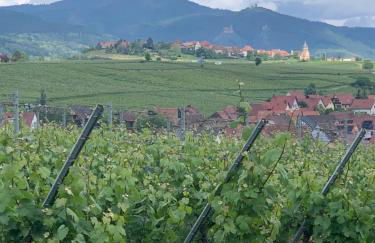 la parenthèse - Foto 14