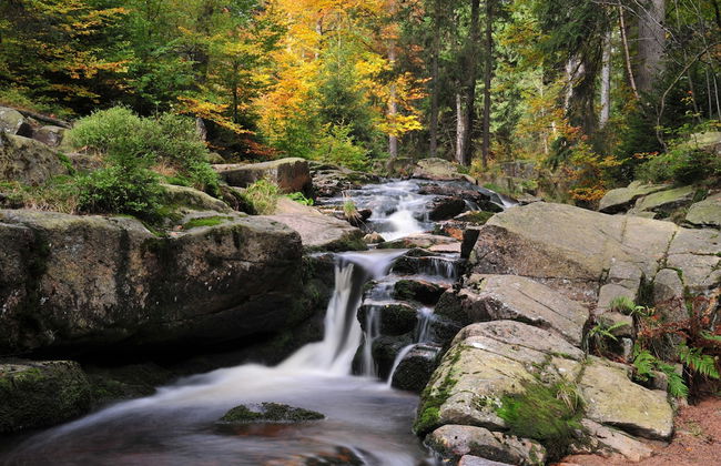 Blockhaus Bodefall - Foto 14