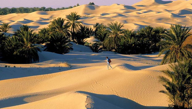Esplora Matmata e Douz - Escursione di un'intera giornata - Foto 2