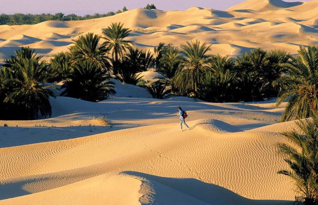 Esplora Matmata e Douz - Escursione di un'intera giornata - Foto 2