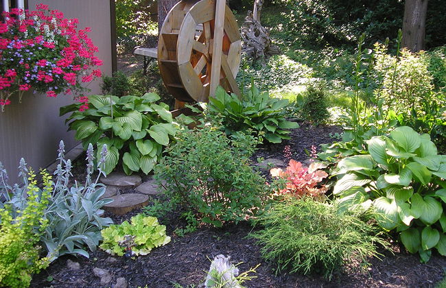 Sabores de Santa Lucía - Foto 3