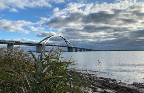 Ferienwohnung-Wildblume - Foto 15