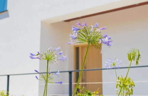 Villa Lumiere - Photo 14