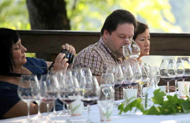 Chutes de Snoqualmie + Dégustation de vin à Woodinville - Photo 2