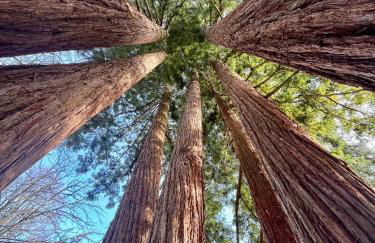 Château Wellness Exclusif - Yoga et Événements Luxe, Loire Valley - Photo 21