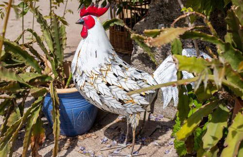 Gîte le coeur d'Alsace - Foto 49